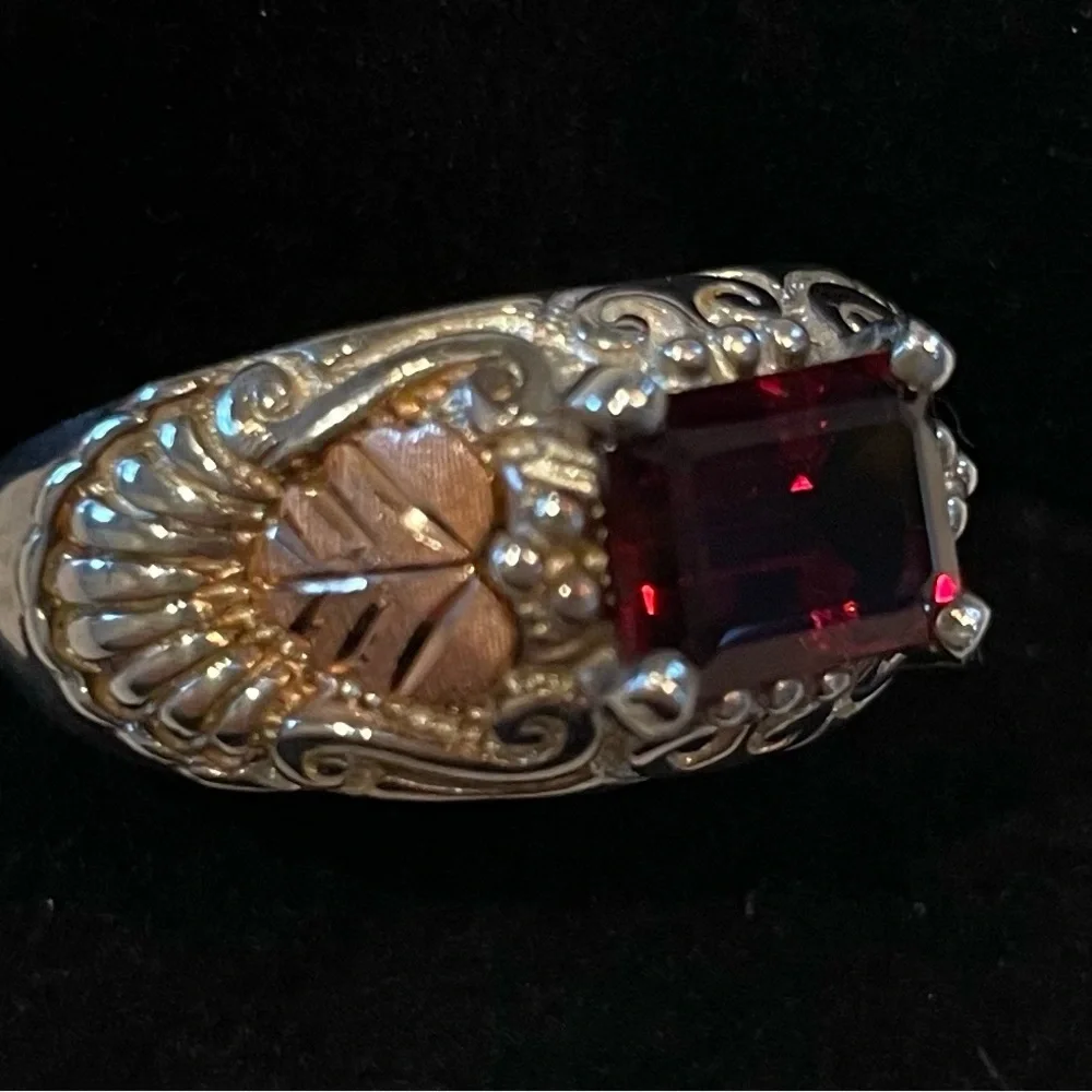 FINAL PRICE Black Hills 12k Garnet Ring - Picture 5 of 6